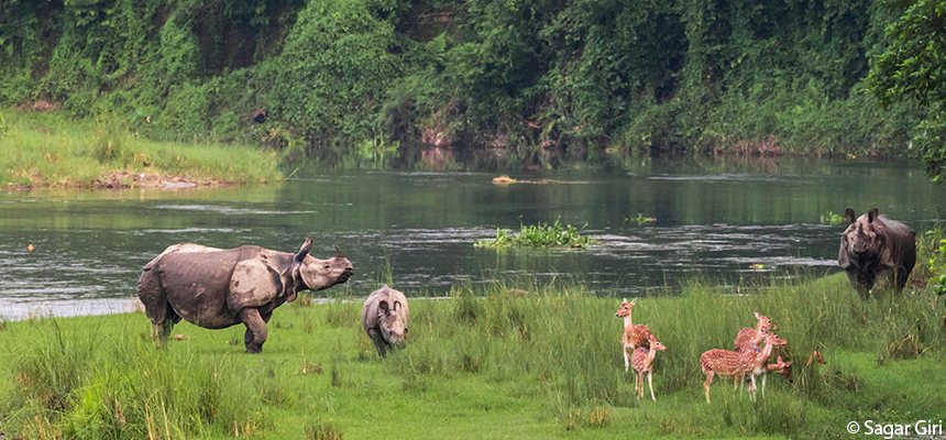 Wildlife-in-Nepal-1